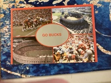 Ohio State Buckeyes Postcard