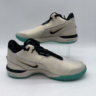 Nike Men's Size 11 ZM Lebron NXXT Gen AMPD (FJ1566 101) Brown