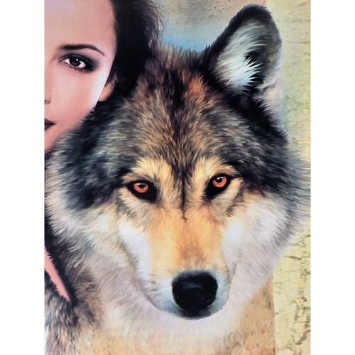 Leanin' Tree Native American Maiden With Wolf Art Print Poster 16x20, Robinson - Picture 4 of 4