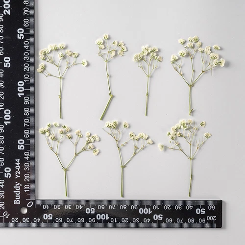 Dried Pressed Flowers Natural Epoxy Resin Candle Nail Art Scrapbooking Craft AU - Picture 161 of 210