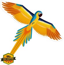 Parrot Kite for Kids Adults Easy Beginner Outdoor Beach Backyard