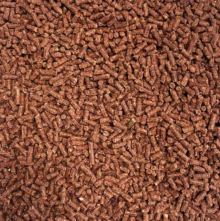 BLOODWORM STICKS PELLETS FISH FOOD FOR TROPICAL COLDWATER FISH KOI CATFISH 500g - Image 3 of 4