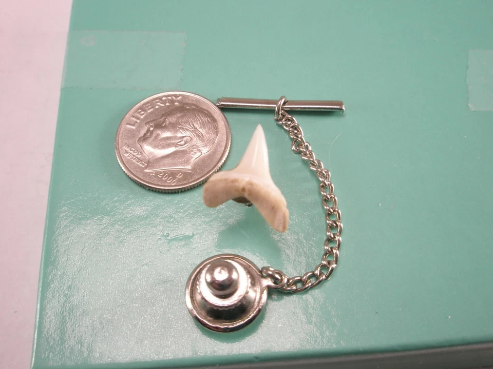 Mordedura de tiburón blanco vintage PEQUEÑO PEQUEÑO corbata solapa pin martillo tigre mako z16 Foto 2 de 4