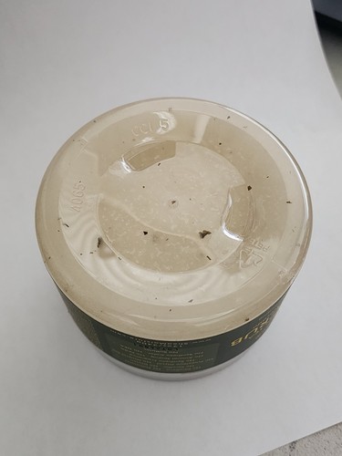 Shea Moisture Olive Green Tea Scrub Extra Moisturizing Hand Body Dry Aging Skin - Picture 4 of 5