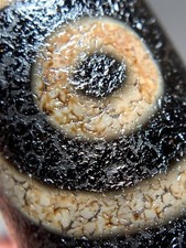 Tibetan Agate Dzi Bead " 3 Eyes " Amulet Pendant Necklace 49mm x 15.6mm