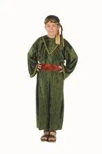RG Deluxe Wiseman Costume Child S 4-6 Olive Green Biblical Play Theater 90282