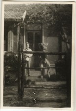 PHOTO ANCIENNE - VINTAGE SNAPSHOT - ANIMAL CHIEN BERGER ALLEMAND SAUT - DOG JUMP