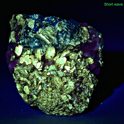 Extremely Rare Fluorescent Sodalite With Phlogopite Crystals Specimen, 84 Gram