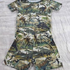 The Childrens Place Boys Dinosaur Print Pajama Set Short Sleeve Shorts Green 4