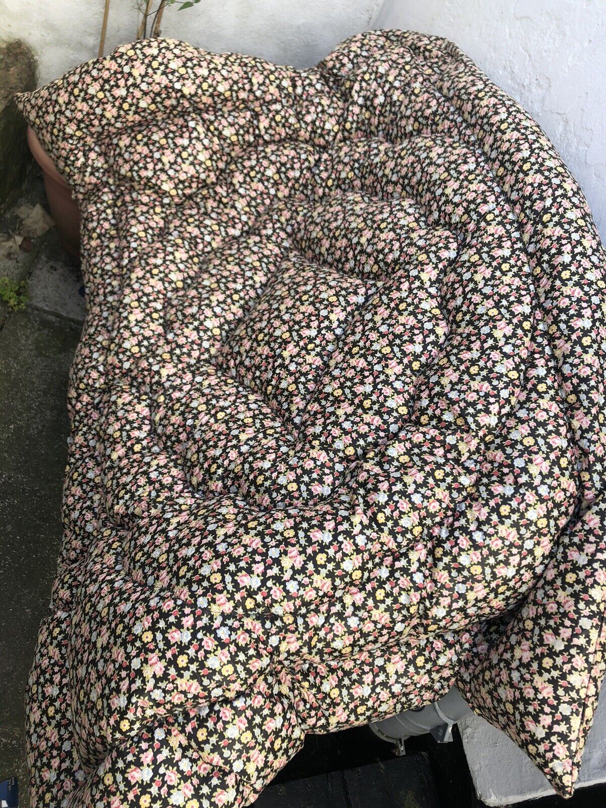 Picture 6 of 24