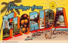 1968 Florida FL Greetings From Large Letter (...