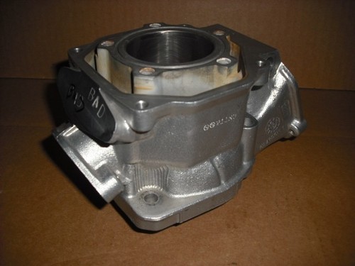 Rotax Max FR125 Kart Engine Motor Cylinder 223999 Junior, Mini, Micro {#20}