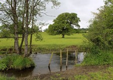 Photo A2 Saint Sunday's Beck (1) Halfpenny Small beck winding its way se c2015
