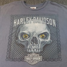 Harley-Davidson Skull Shirt Men’s Large Blue USA Made Ring of Fire Chain Border