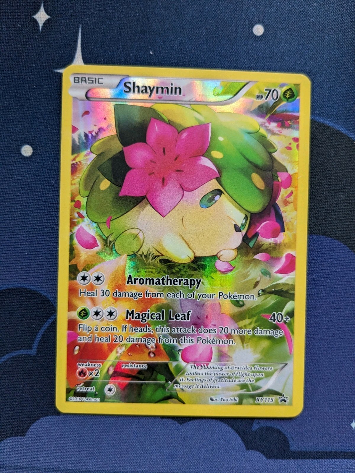 Shaymin XY115 Promo Pokemon Card TCG Pokemon Trading Card Game Generations NM
