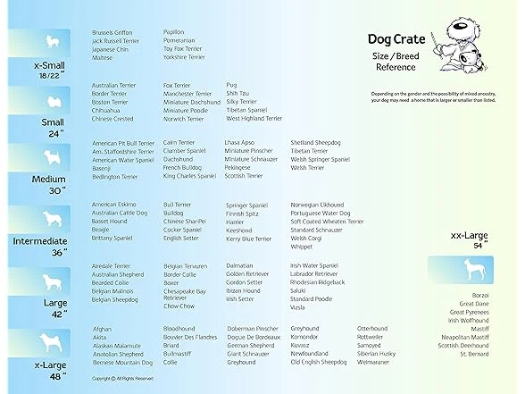 Jaula doble puerta para perros Ovation mediana de 30", jaula plegable de metal para mascotas 21-40 libras Foto 3 de 4