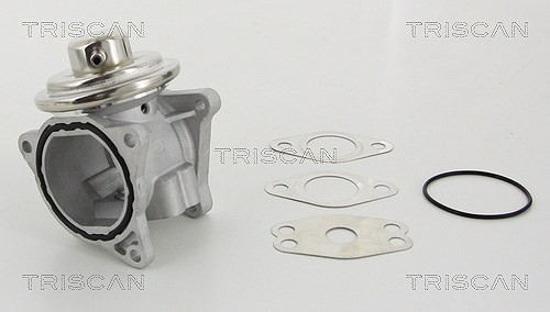 Triscan Agr-Ventil U.A. FüR Audi, Chrysler, Dodge, Jeep, Mitsubishi, Seat-image