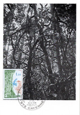 1865A+ FDC CARTE MAXIMUM  1er JOUR     SERIE  DES  REGIONS  GUYANE