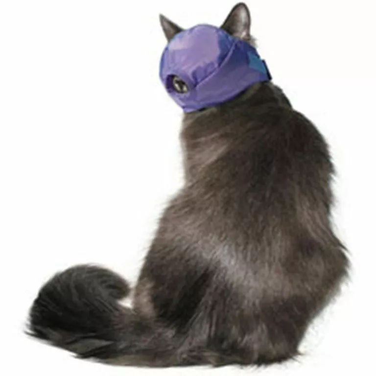Cat muzzle clearance wish