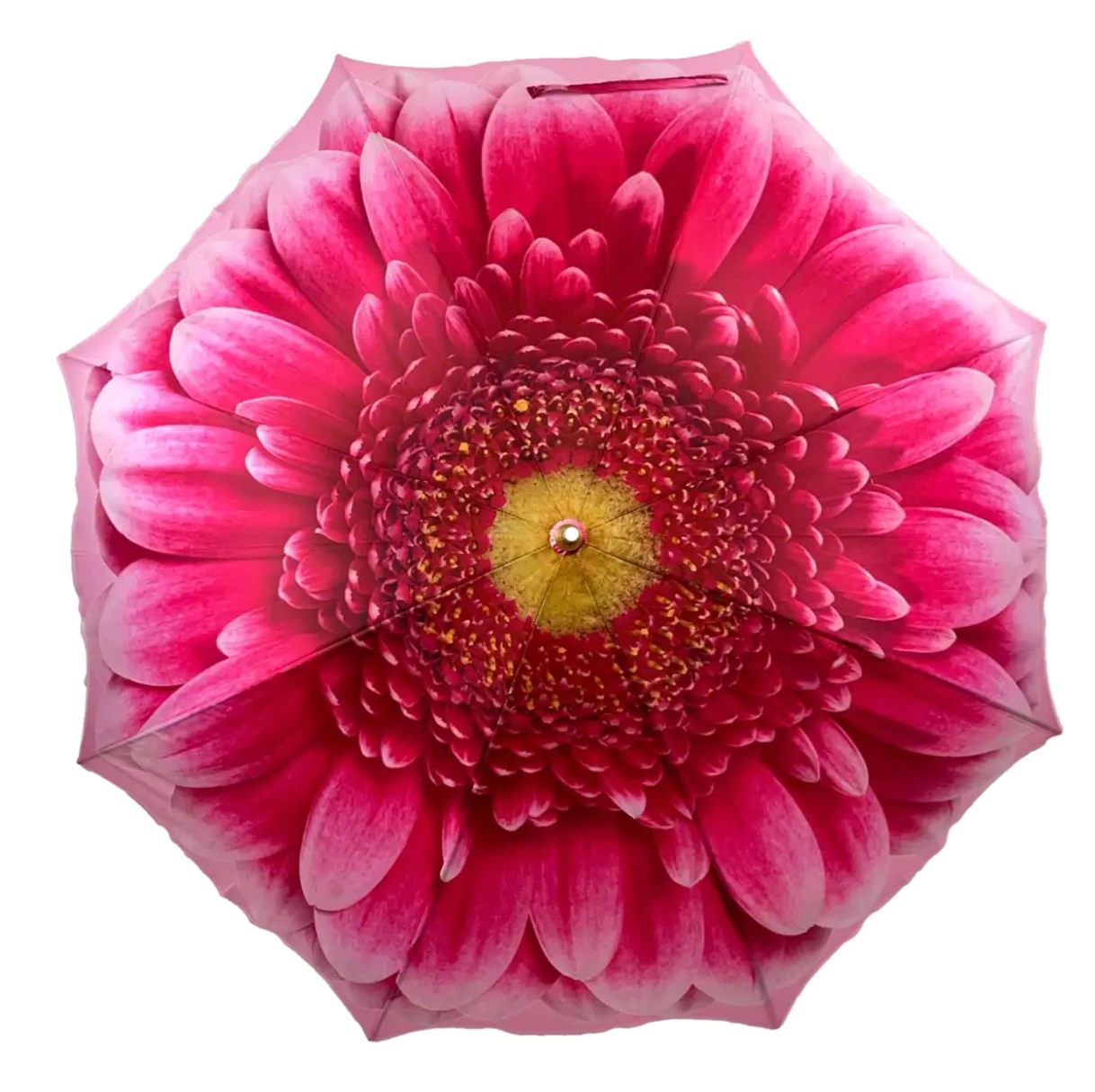StormKing Auto Walking Floral Umbrella - Pink Gerbera | Fibreglass Frame | Wood