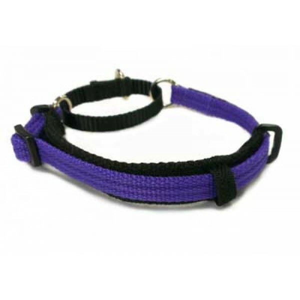 Black Dog Wear Italian Greyhound Collar eBay