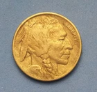 1917  Buffalo Indian Head Nickel