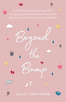 BEYOND THE BUMP by Sally Shepherd Paperback Self Help Business