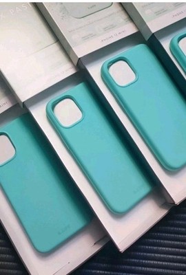 Hülle für iPhone 12 Mini Handyhülle Case Silikon Cover Bumper Matt Minze