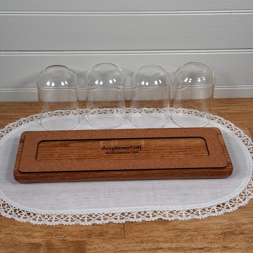 Showcase Display with 4 glass domes - Picture 7 of 10