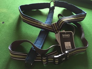 padded y harness