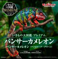 New The Diversity of Life on Earth Panther Chameleon Ambilobe green Figure