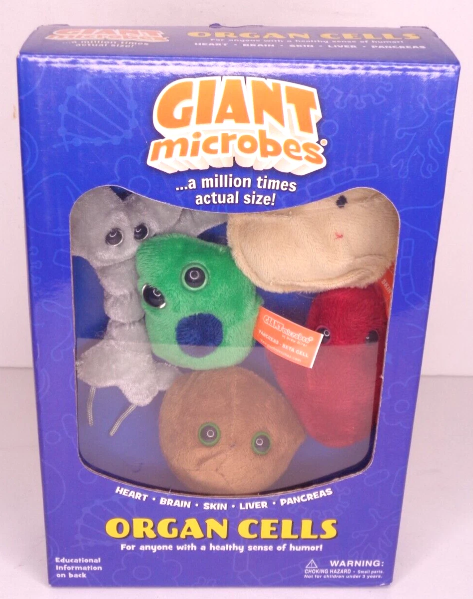 Giant outlet microbes heart