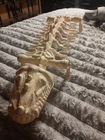 Vintage 1984 Battle Bones He Man Masters Of The Universe Complete Great Shape