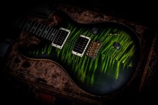 PRS USA Paul Reed Smith Wood Library Custom 24 *Artist Top 