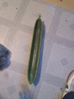 Bostenware House Green Dish — photo 2