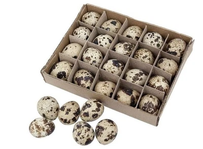MARKENLOS 24 STK Wachteleier Natur ausgeblasen Deko Eier Naturdeko Ostern Basteln Wachtel