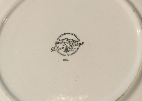 SOUTHERN POTTERIES BLUE RIDGE Floral Design 10