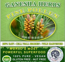 ORGANIC PINE POLLEN POWDER - WILD HARVESTED PREMIUM  BULK  200 grams! SUPERFOOD 