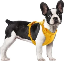 No Pull Lightweight Dog Harness: Adjustable Durable Breathable Mesh Pet Vest - M
