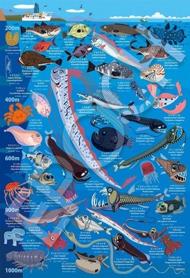 100 pieces jigsaw puzzle Deep sea Water depth 200m ~ 1000m Large piece (26x38cm)