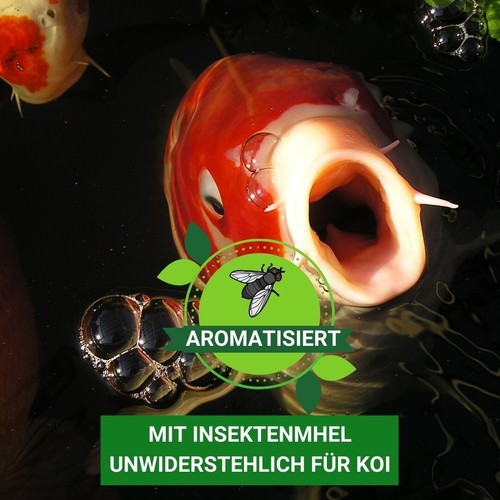 Koifutter 5 kg 6 mm Koi Futter Teichfutter schwimmend KENKOU BAKUDAI - Bild 7 von 10