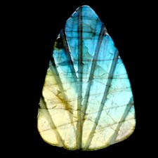Labradorite du Canada gravée en feuille de 8,14Cts