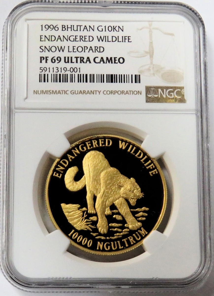 シムシメール leopard right White gold left 希少 シムシメール White