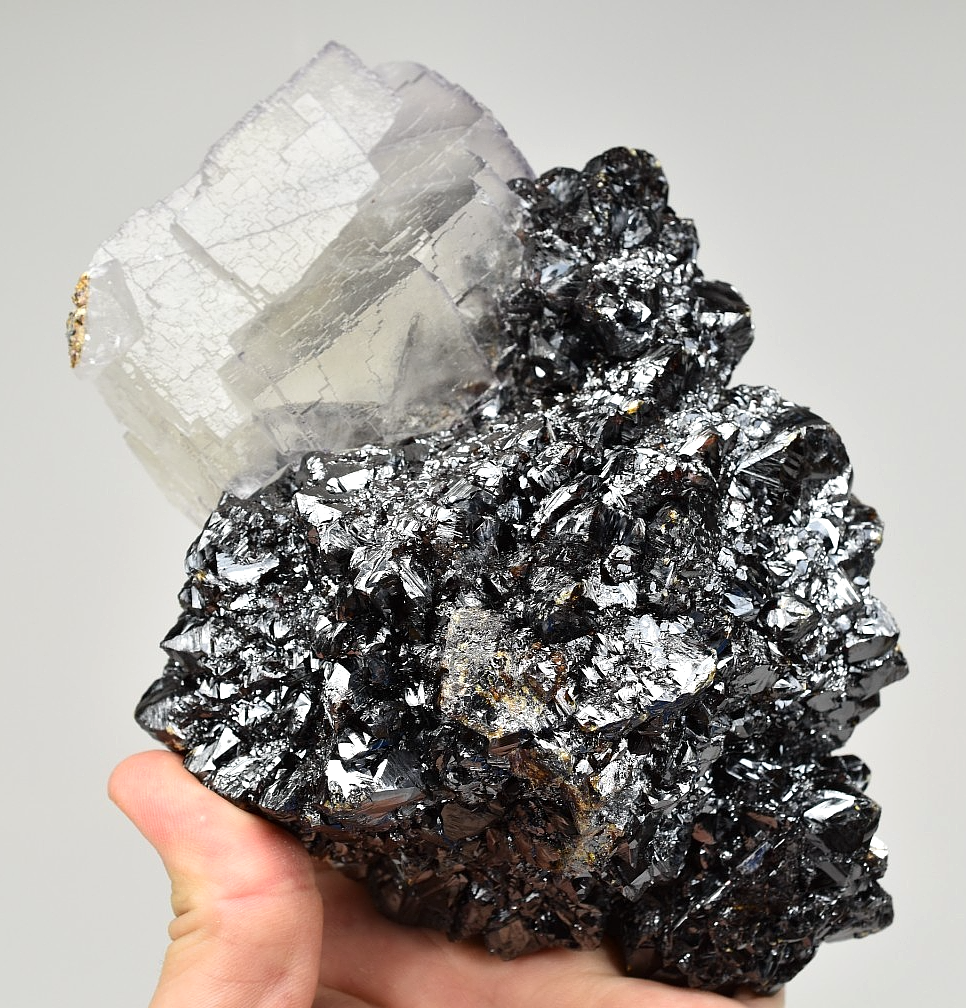 Fluorite on Sphalerite Specimen from Elmwood Mine Tennessee