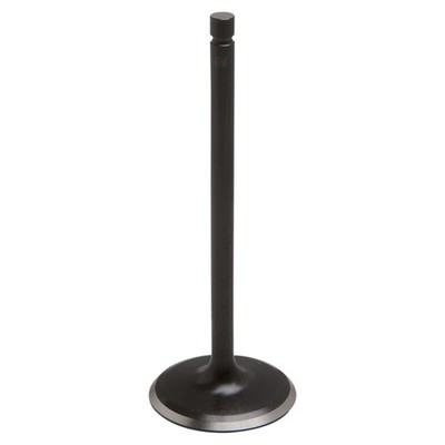 Kibblewhite Precision IN VALVERAPTOR 700 06 Engine Other Black Diamond Valves-80