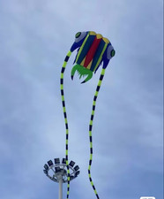 new 16Sqm soft kite 3D Huge Giant Trilobites Kite Outdoor Sport Easy to Fly