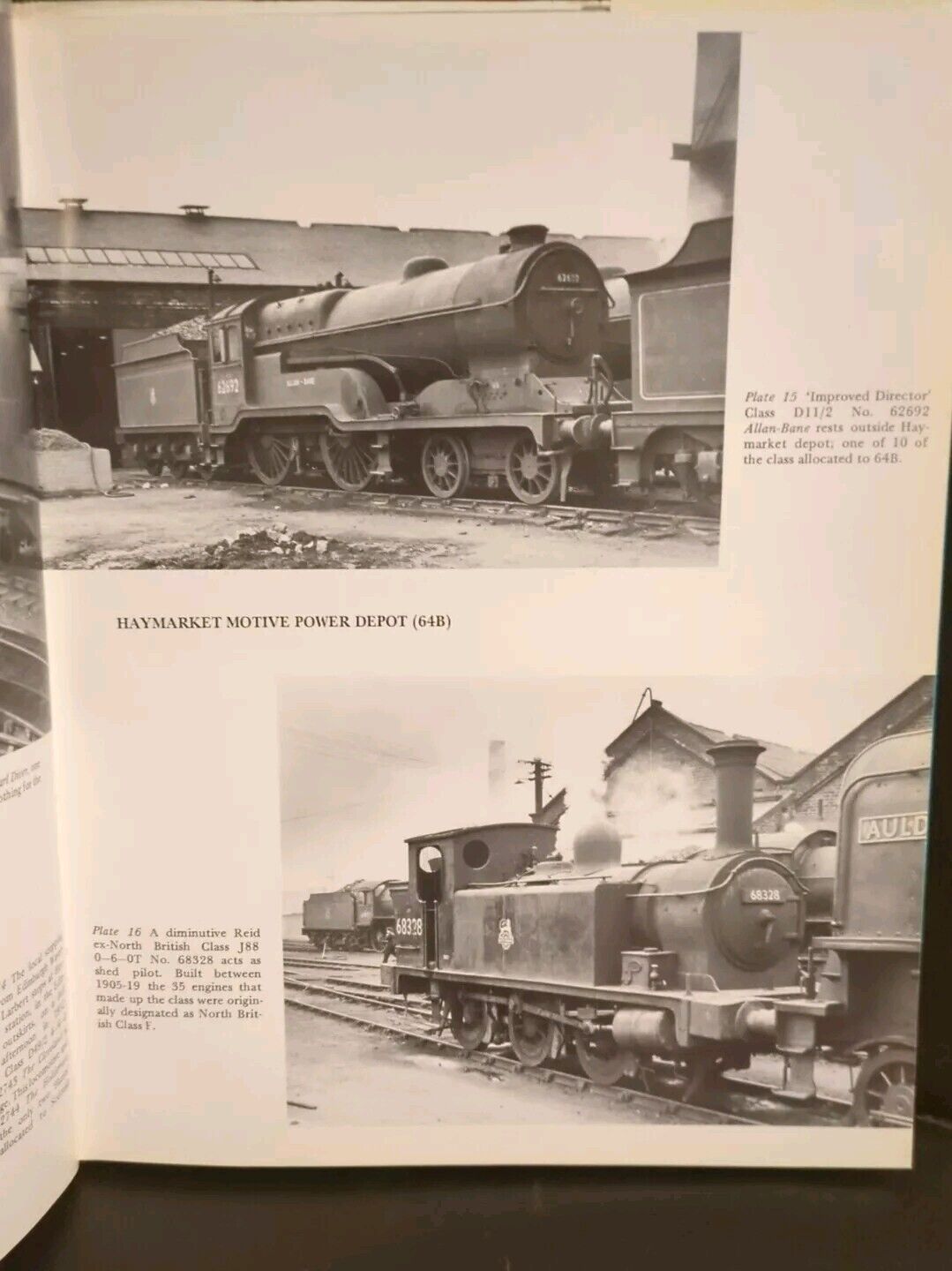 Picture 7 of 11