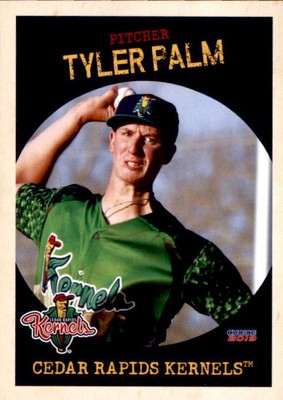 2019 Cedar Rapids Kernels Choice #17 Tyler Palm West Branch Michigan MI Card