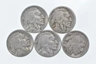 BETTER Lot 1925-S 1920-D 1928-D 1925-S 1927-D Buffalo Nickel Collection *110
