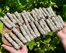 Thin White Sage Smudge Sticks: 1, 3, 5, 10, 20 or 50 (Handy Travel Size Stick)